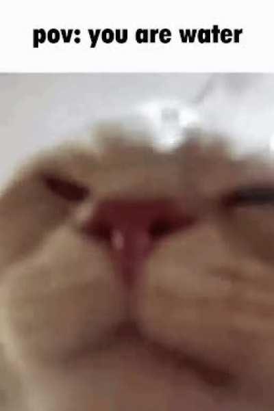 My friend sent me this knowing I'm a hydro homie