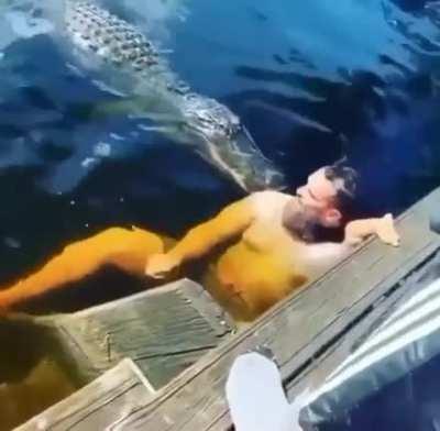 They love to swim with me, look!