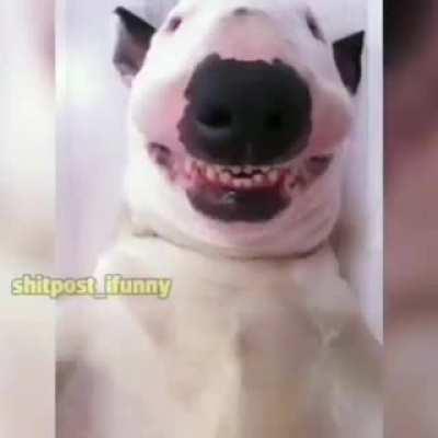 ChratosGameplay - Video #2738