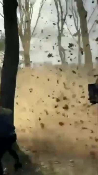 Fireworks in Netherlands create shock wave