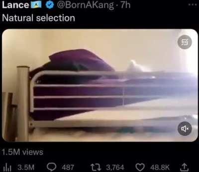 she was the last of her species. very sad