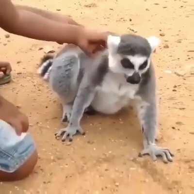 Wrong spot. You need to move it, move it.