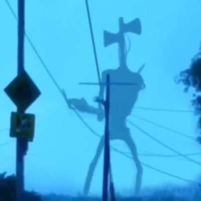 on dosłownie zrobił 