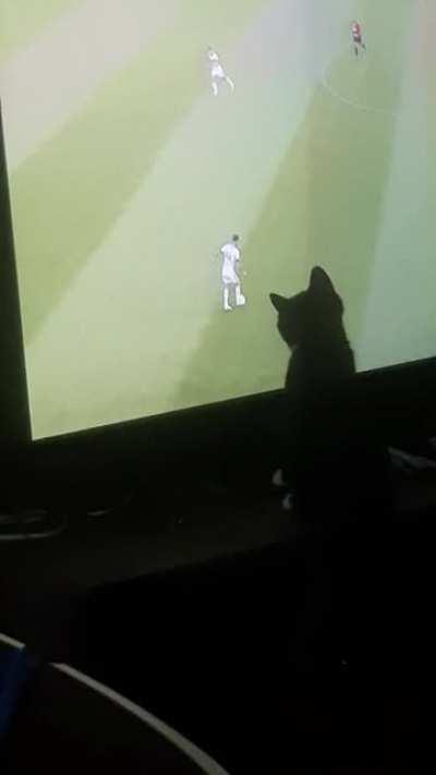 He wants to play too!