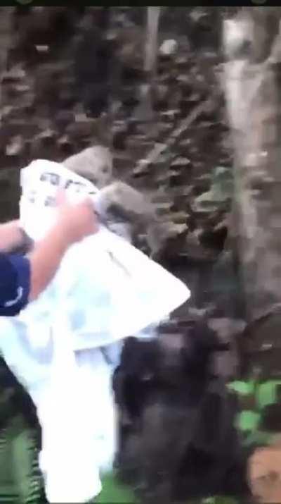 This man helps a sloth to cross the road and the sloth is so grateful..