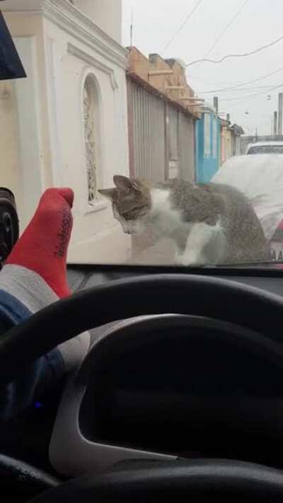 I bet the guy filming this was cracking up for the first 10 seconds or so