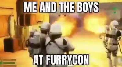 BeelcitosMemes - Video #0943