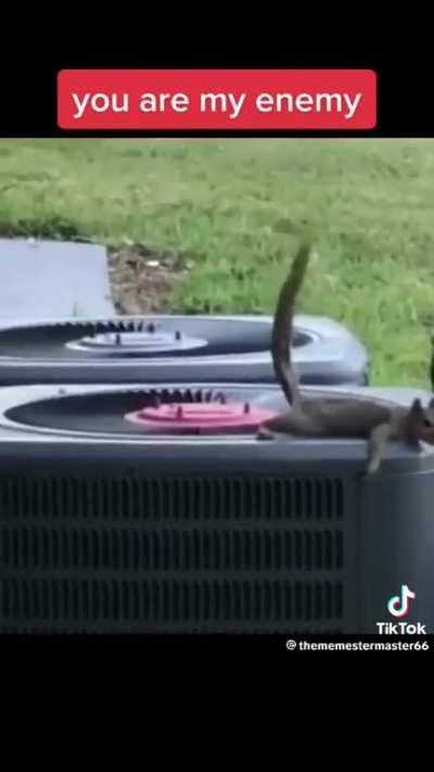 ððð