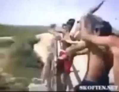 tten vermek istemeyen eşeğin hazin sonu