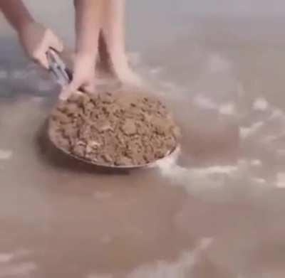 Thanks, I hate going to the beach now knowing what might be just below my feet