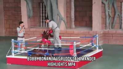 Majestic performance from Bobby last night on UOF (Ultimate orangotan fight)