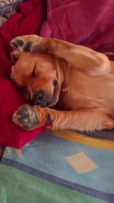 Pls Mom, five more minutes