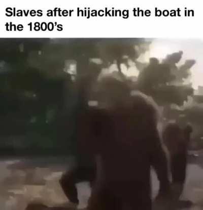 Sorry for the bad quality