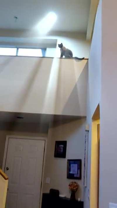 Looking down from on high