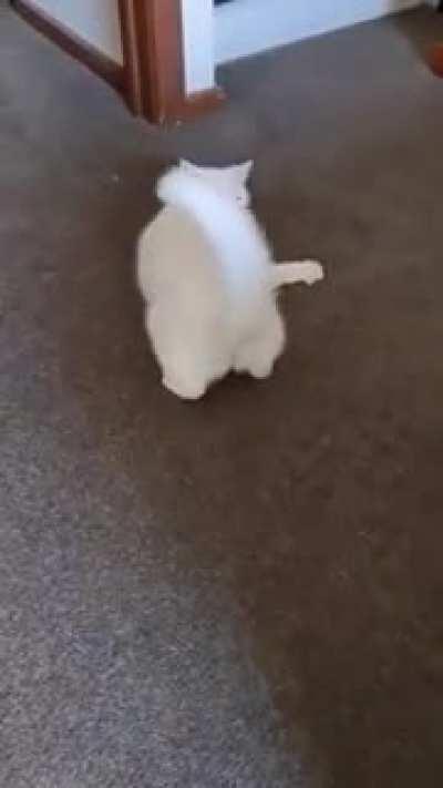 Entertains herself so well.