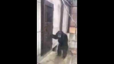 Mikey waking up Aaron to do another reaction vidio: