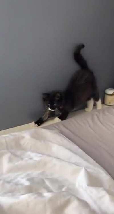 Kitty trying to get up