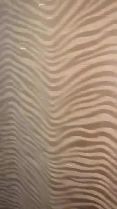 It...It was right there