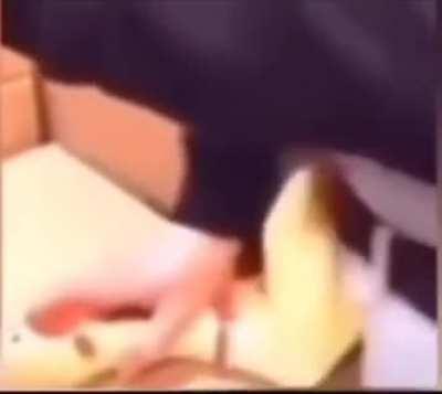 I've never seen something more romantic