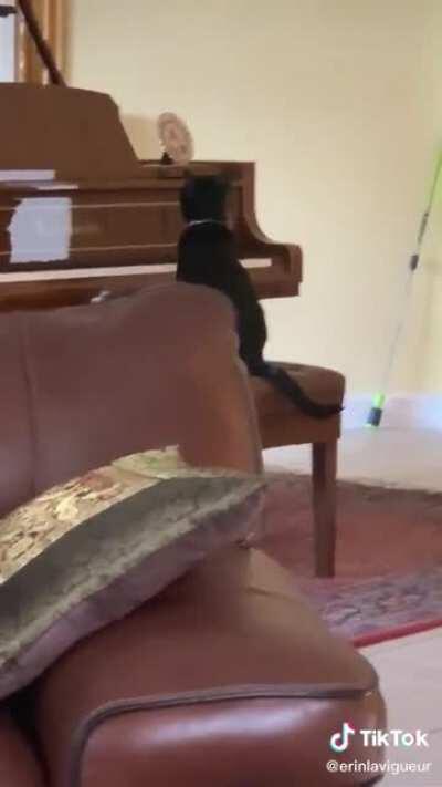 When you’re scared of your own talent