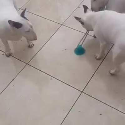 💪💪💪💪💪💪💪