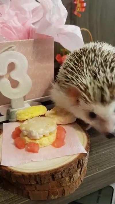 Kiwi eating her birthday cake