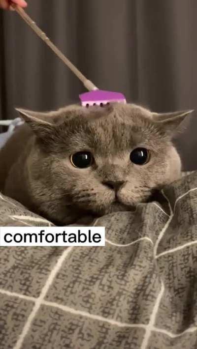 She really likes massage.