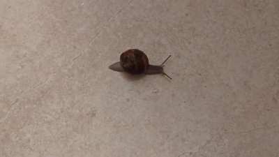 Need more victims to submit to my feet! DM for the full video!