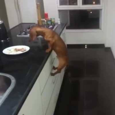 who would’ve thought that ?