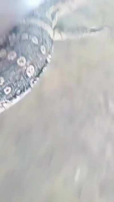 Average day in Maharashtra ☠️☠️