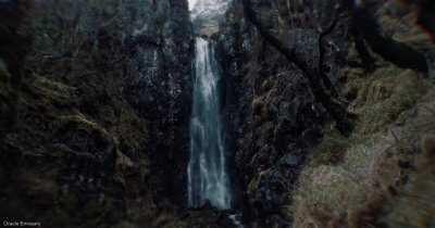 I feel the trees watching me... 👀