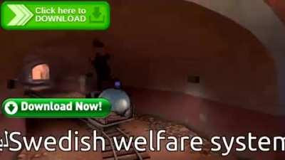 Swedish welfare system