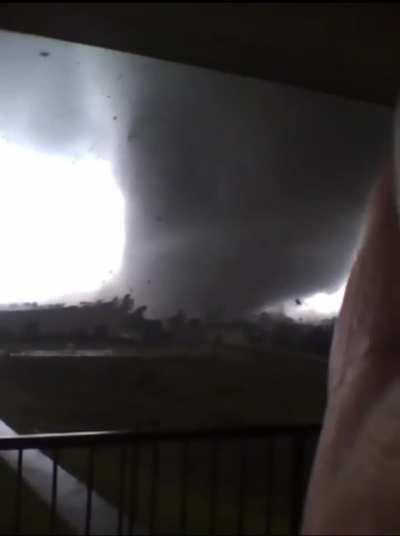 How would you react if you opened your balcony door and saw this?