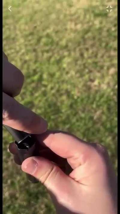 Blunderbussy vs shotgun