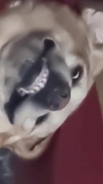 Must have accidently put something in her breakfast...