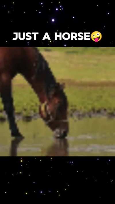 Decimate him for his sin of gluttony