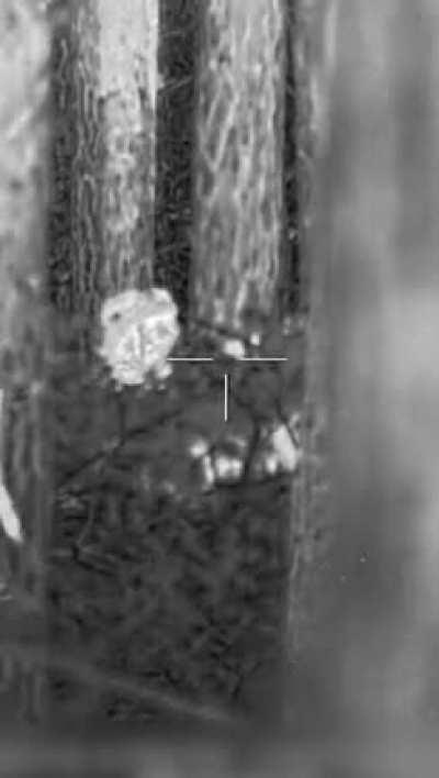 The work of a sniper of the Russian Airborne Forces at the front in the Kremennaya area.