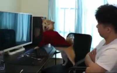 I think he might have a gaming addiction...