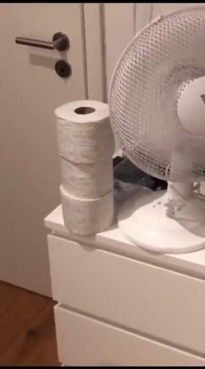Three toilet rolls and a fan