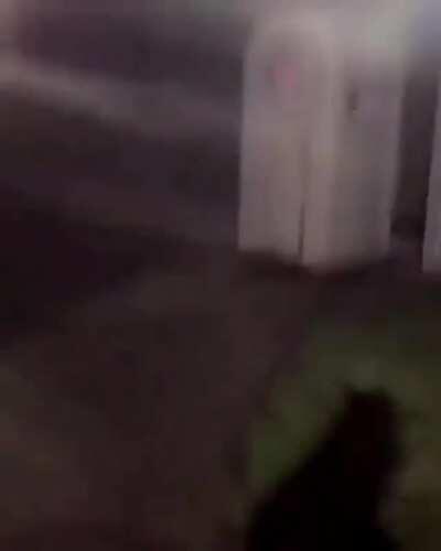 This is the funniest I've seen yet (sound on for stronger effect)