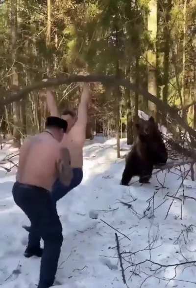 That bear seems to forget what he is🤣💀