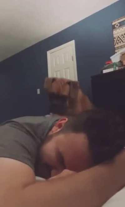 Doggo needs a snooze button