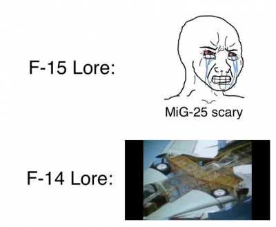 You Have to Have a High IQ to Understand the Tomcat