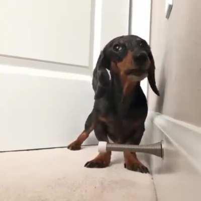 but what I do have are a very particular set of skills