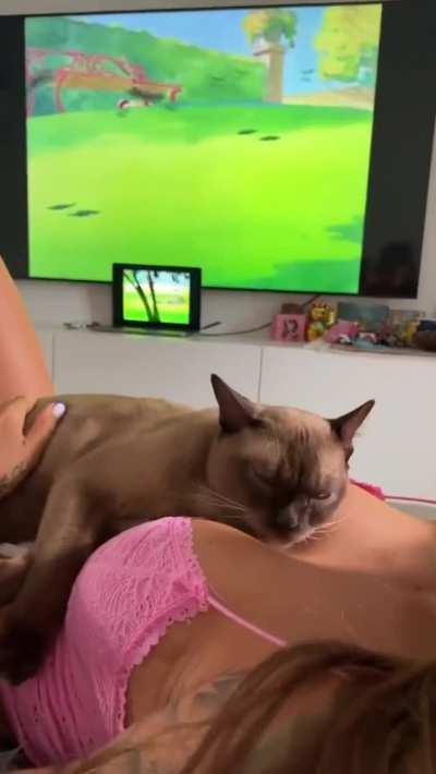 I think he just wants some milk