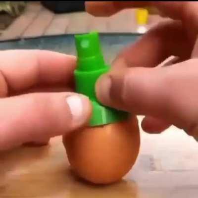 Egg Spray.