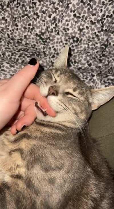 teefies are for holding