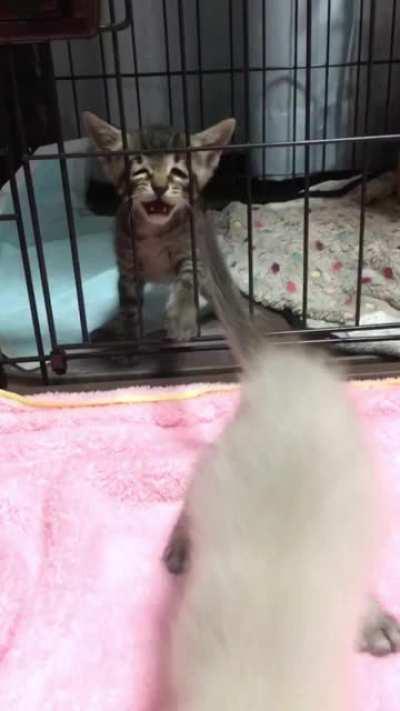 Behind the scenes of 