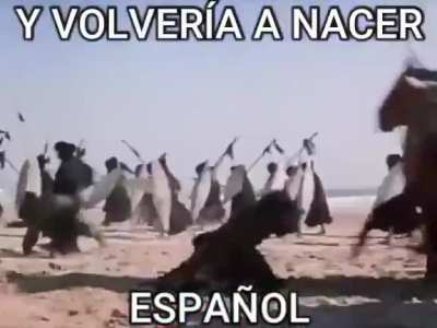 Olee oleee pa cuartos