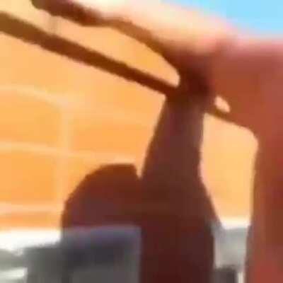 Pscininha nesse calor hein...